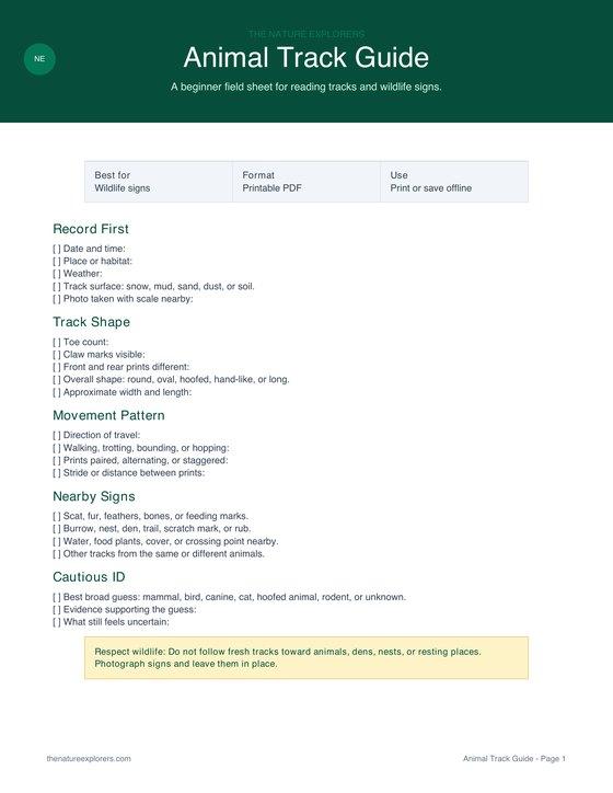 Preview of the Animal Track Guide printable PDF