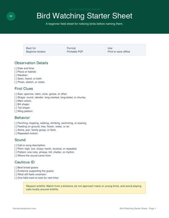 Preview of the Bird Watching Starter Sheet printable PDF
